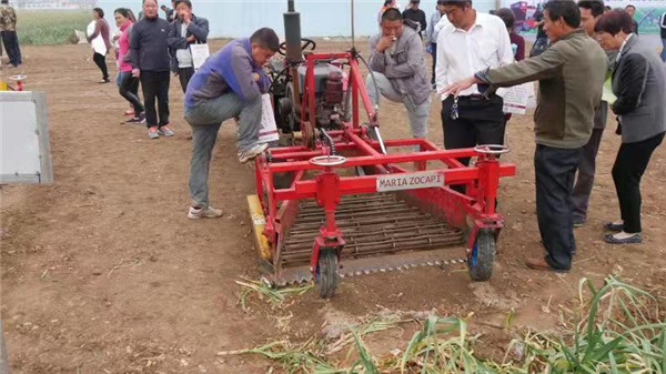 小型大蒜播種機